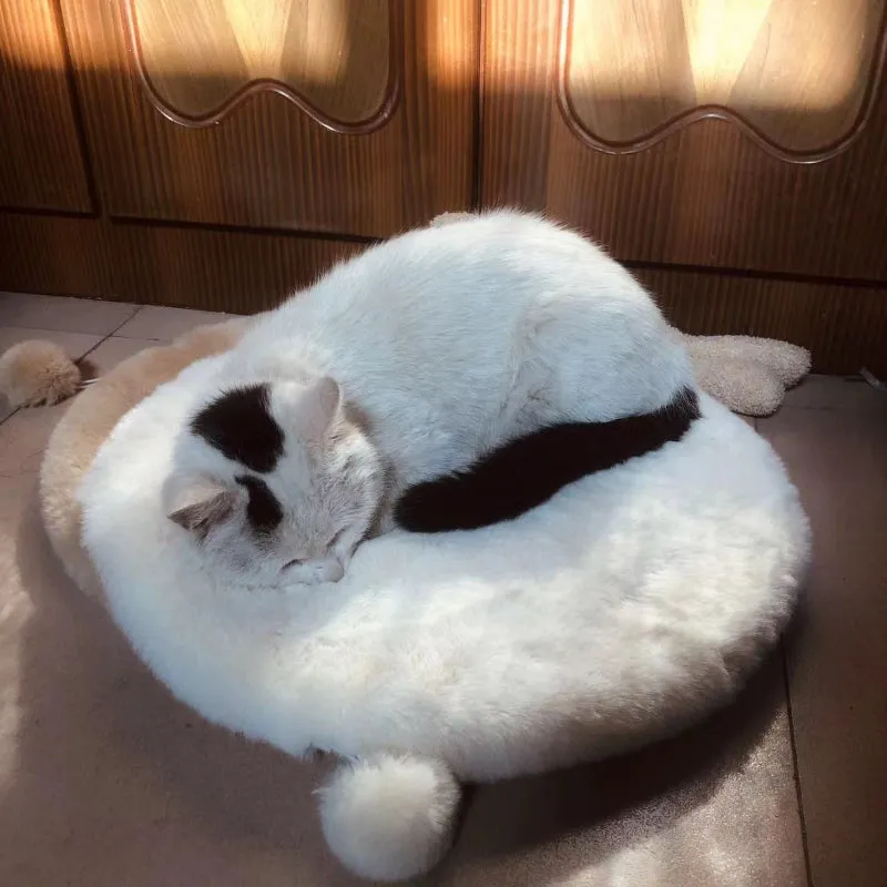 Comfortable Round Cat Mat