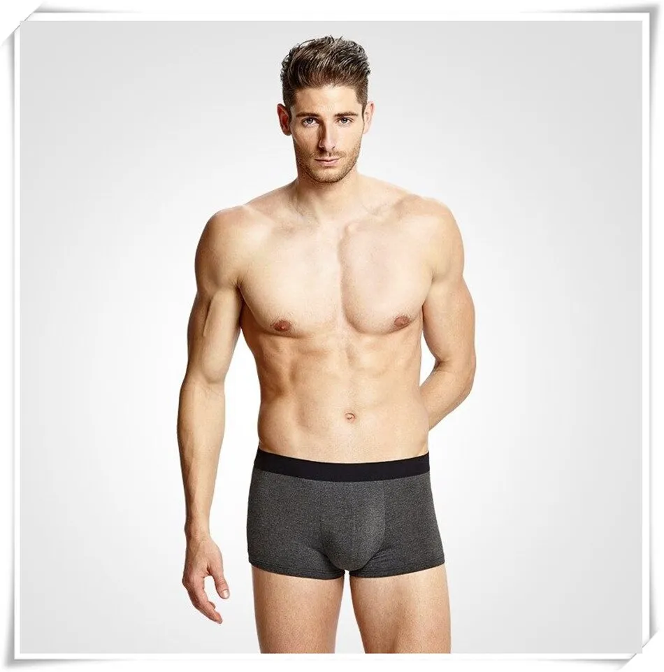 West Louis™ Short Breathable Trunk Thermal Boxers 4Pcs